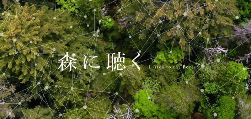 森や自然に興味がある方おすすめなドキュメンタリー映画『森に聴く』上映