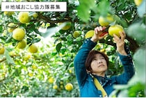 【地域おこし協力隊 2泊3日お試し就農・移住体験の参加者募集】鹿児島県いちき串木野市で未経験から夫婦で柑橘農家へ！地域おこし協力隊の3年間で基礎から学べる「シトラススクール」の就農プログラムを見学・体験してみませんか？