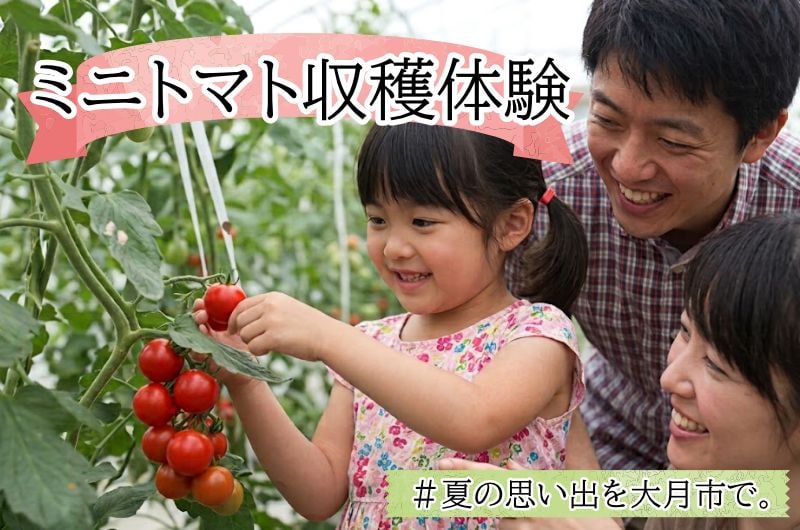 【8/22(土)開催】東京から約1時間。夏の思い出を作ろう♪大月市でミニトマト収穫体験!