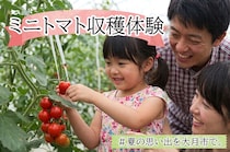 【8/22(土)開催】東京から約1時間。夏の思い出を作ろう♪大月市でミニトマト収穫体験！