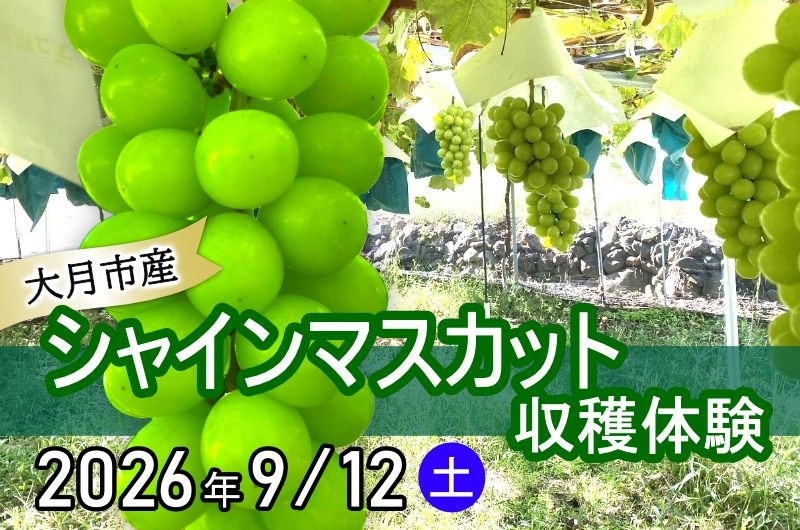 【10組限定・参加無料】新宿から電車で約1時間のショートトリップ！山梨で希少な「大月産シャインマスカット」を収穫しよう！