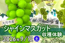 【10組限定・参加無料】新宿から電車で約1時間のショートトリップ！山梨で希少な「大月産シャインマスカット」を収穫しよう！