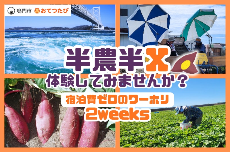 【徳島県鳴門市】第3弾募集開始!宿泊費ゼロで2週間のお試し暮らし!潮風感じる海辺で特産品「なると金時」の農業バイト体験してみませんか?