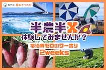 【徳島県鳴門市】第3弾募集開始！宿泊費ゼロで２週間のお試し暮らし！潮風感じる海辺で特産品「なると金時」の農業バイト体験してみませんか？