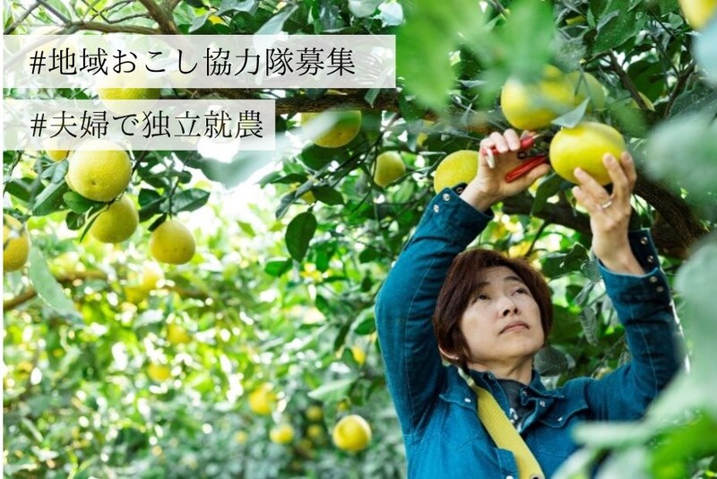 【2泊3日就農・移住体験の参加者募集 | お試し地域おこし協力隊】鹿児島県いちき串木野市で未経験から夫婦で柑橘農家へ!地域おこし協力隊の3年間で基礎から学べる「シトラススクール」の就農プログラムを見学・体験してみませんか?