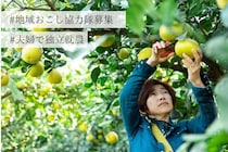 【2泊3日就農・移住体験の参加者募集 | お試し地域おこし協力隊】鹿児島県いちき串木野市で未経験から夫婦で柑橘農家へ！地域おこし協力隊の3年間で基礎から学べる「シトラススクール」の就農プログラムを見学・体験してみませんか？