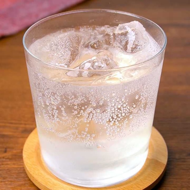 材料2つで作る！保存袋で作る梅シロップ