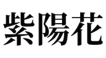 【難読漢字】「紫陽花」梅雨の時期に咲く花