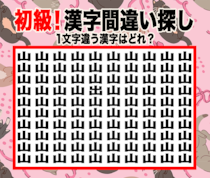 今日の漢字間違い探し【Vol.1】あなたは見抜ける？1文字だけ違う漢字を探そう！【初級】