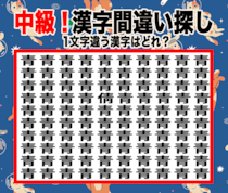 今日の漢字間違い探し【Vol.9】あなたは見抜ける？集中チャレンジ！【中級】
