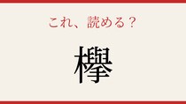 【難読漢字】これが読めたら博識！街中でよく見るあの木の名前です
