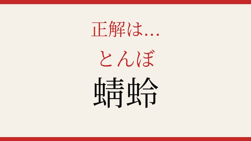 【難読漢字】これが読めたら博識！「蜻蛉」の正解画像