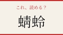 【難読漢字】これが読めたら博識！「蜻蛉」