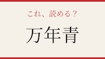 【難読漢字】これが読めたら博識！