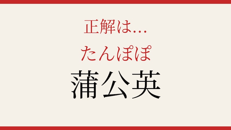 【難読漢字】あなたは読める?春の野原を彩る花の正解画像