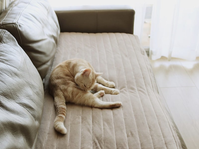 さあ、今年の冬も極楽確定！2025年「うっとりなめらかパフ」シリーズ、全ラインナップ＆リニューアルポイントまとめ