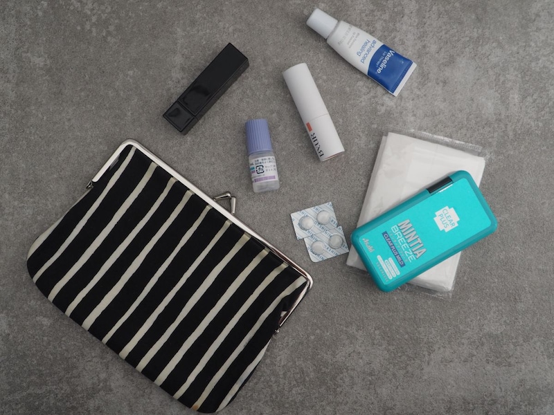 探しやすい手帳型で、小物迷子が解決！「旅上手になれる手帳型ミニポーチ」が、日常使いにもぴったりだった話