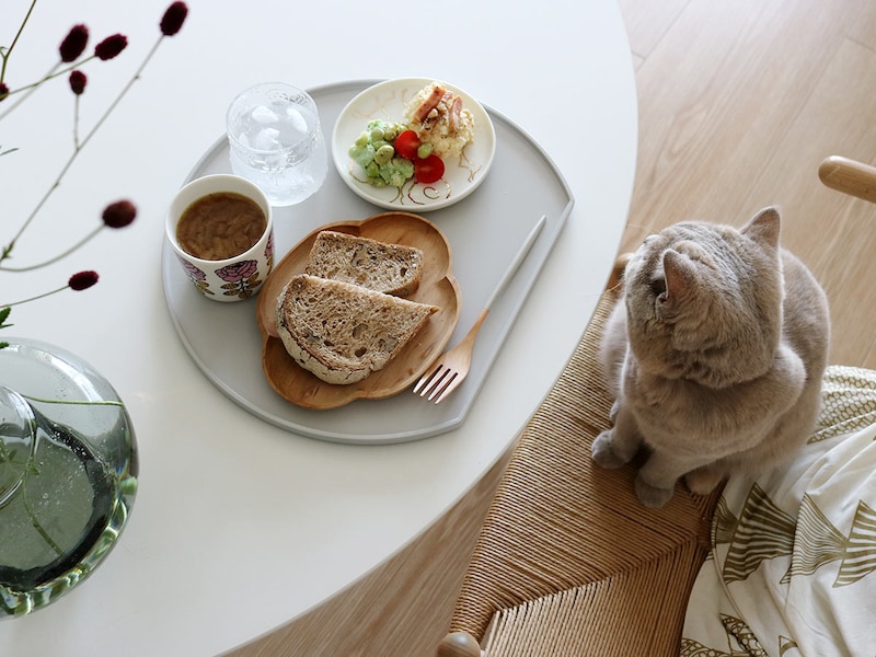 ずっと愛されるにはワケがある。小回りのきく半月膳で、いつものご飯もおやつも楽しもう!スタッフ3名の使用レポ