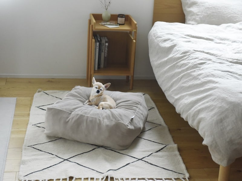 “沼る姿”が愛おしい！とろけるペットベッドに虜のニャンコ＆わんこ最新レポ