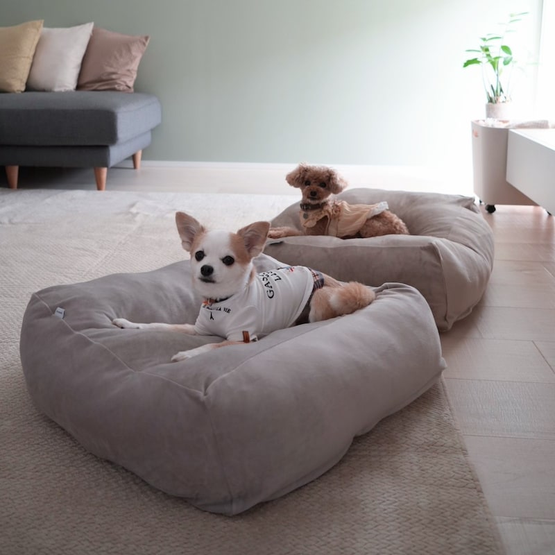 “沼る姿”が愛おしい！とろけるペットベッドに虜のニャンコ＆わんこ最新レポ