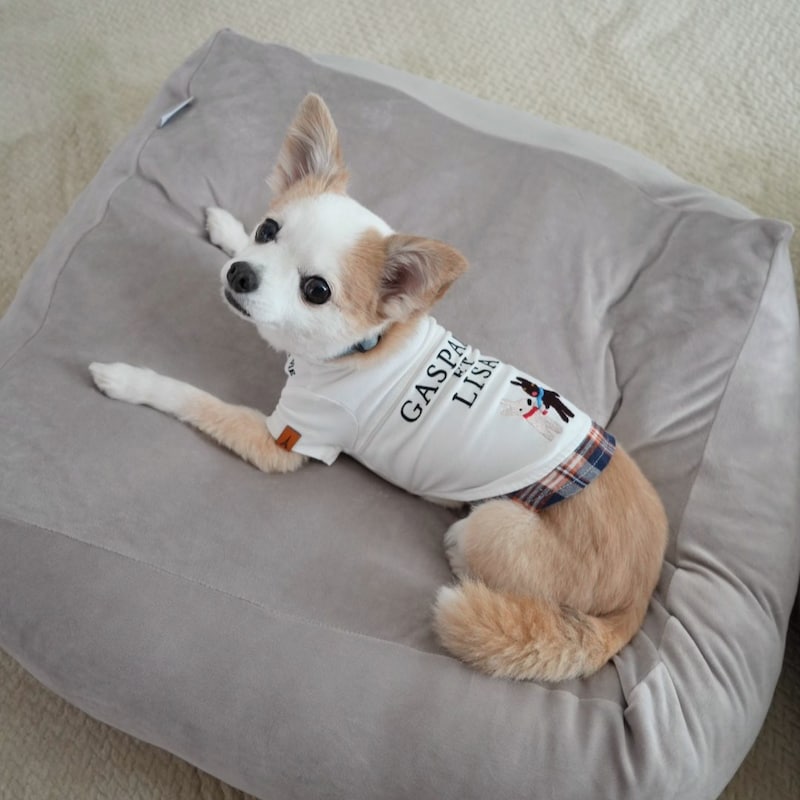 “沼る姿”が愛おしい！とろけるペットベッドに虜のニャンコ＆わんこ最新レポ