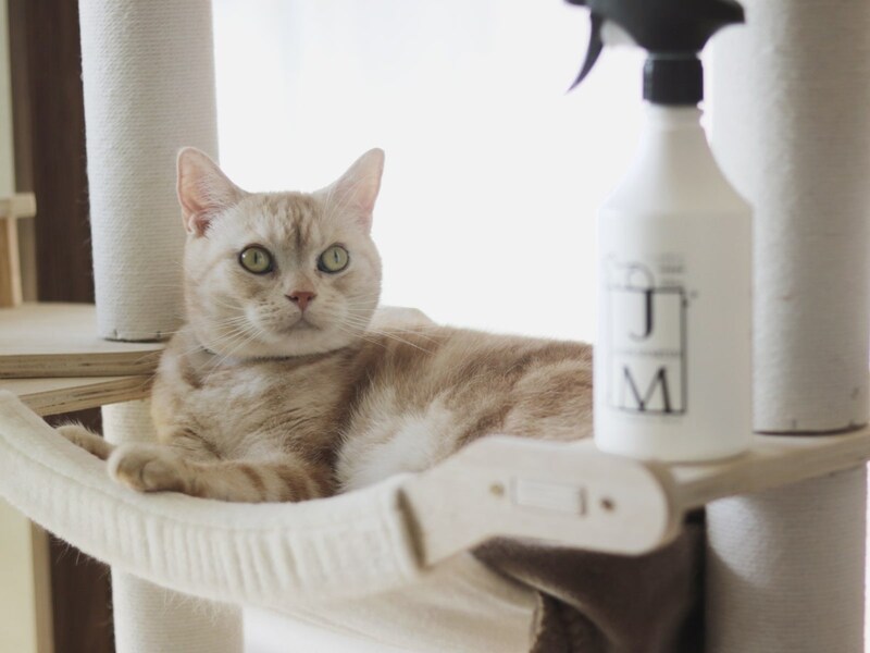 舐めても安心の消臭除菌スプレー!?ペットにやさしい『ジェームズ・ミャーティン』誕生