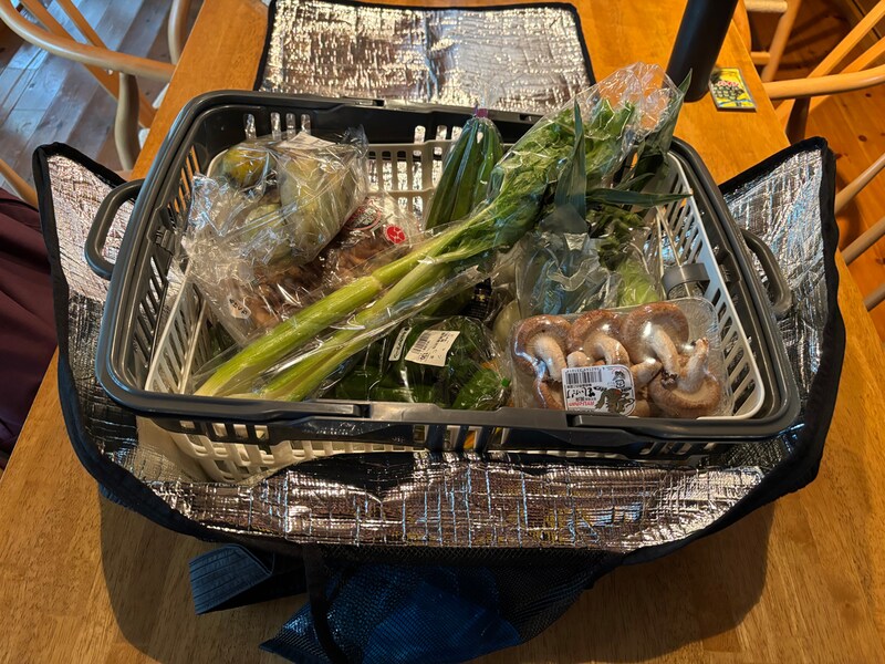 購入決定なるか！？初めての「Myレジかご＆まるごと保冷バッグセット」お試しレポート