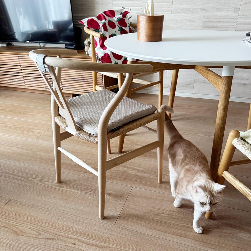 腰イタタ…の救世主！スタッフも愛用の『無重力クッション』、インテリアに馴染む愛用風景をご紹介