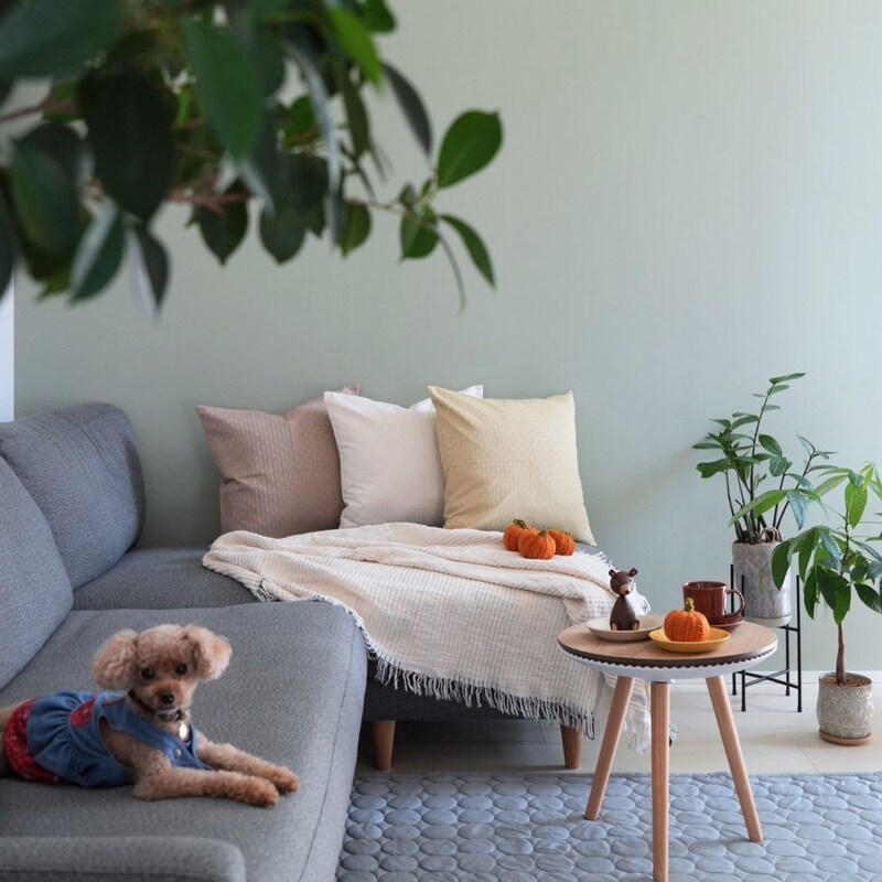 「シンプルすぎて、もはや殺風景」を卒業!クッションカバーではじめるお手軽模様替え【インスタグラマーさんのもの選び】