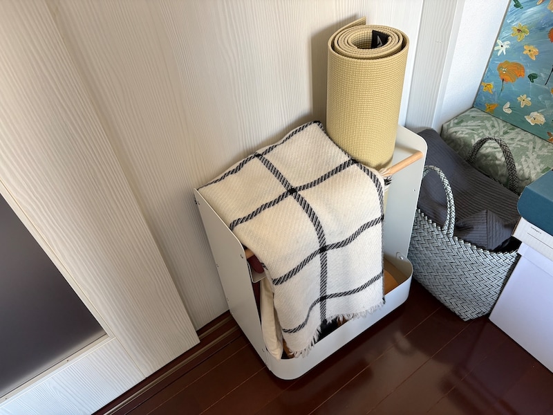 「やるぞ！」と思ったらすぐ取れるフィットネス収納。スタッフが実際に使ってみました