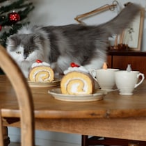 猫好きさんに贈りたい！ティータイムをほっこり彩る猫グッズ2選【インスタグラマーさんのもの選び】