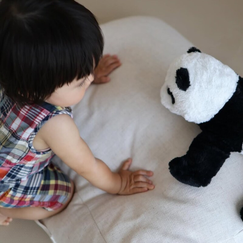 布団収納スペースにお困りの人、集まれ！『背もたれになる布団収納ケース』がIGさんのお家でも活躍中