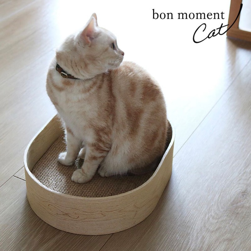 猫のためのボンモマン「bon moment cat」ついに始動!猫飼いスタッフが本気で考えたニャンコ溺愛グッズを、インスタグラマーさんもいざ体験!