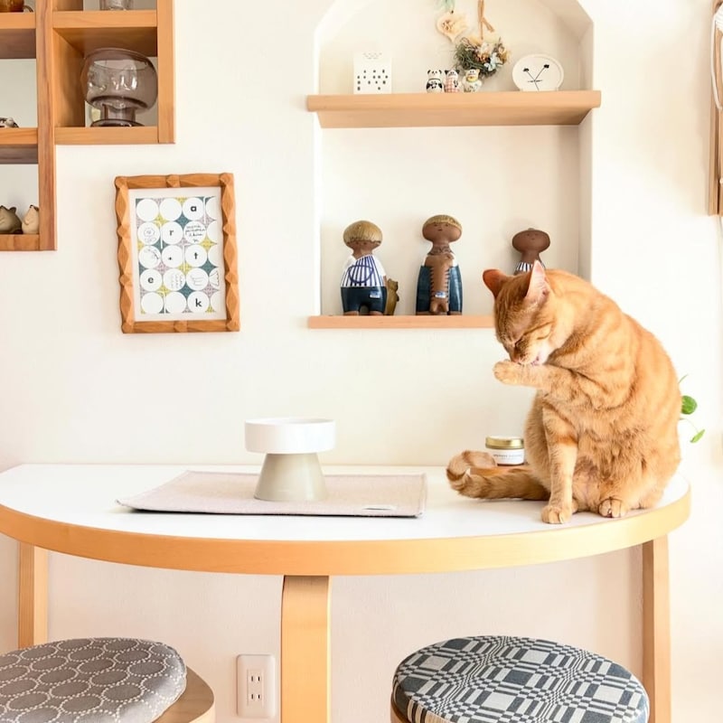 猫のためのボンモマン「bon moment cat」ついに始動!猫飼いスタッフが本気で考えたニャンコ溺愛グッズを、インスタグラマーさんもいざ体験!