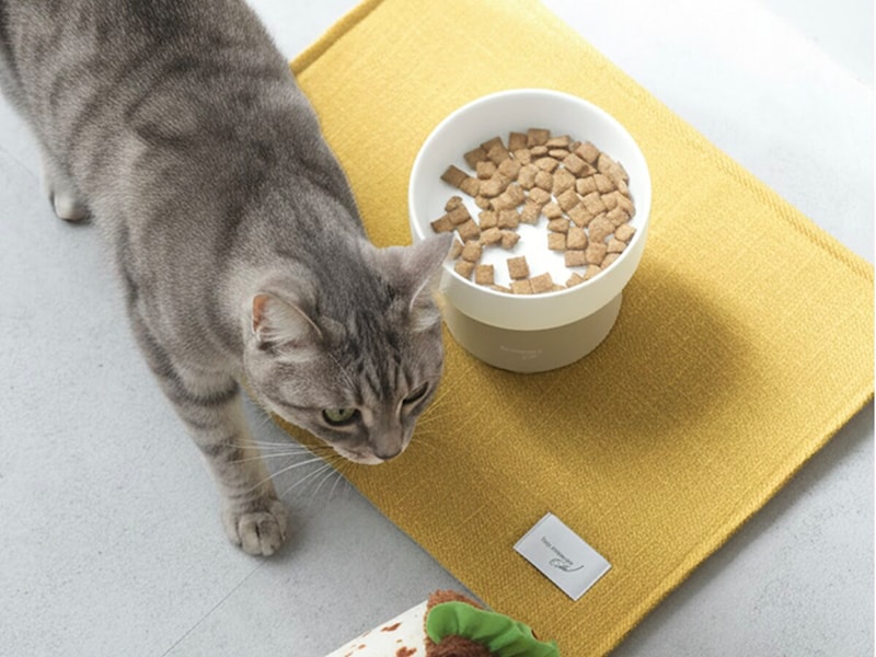 猫のためのボンモマン「bon moment cat」ついに始動!猫飼いスタッフが本気で考えたニャンコ溺愛グッズを、インスタグラマーさんもいざ体験!