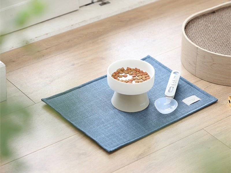 猫のためのボンモマン「bon moment cat」ついに始動!猫飼いスタッフが本気で考えたニャンコ溺愛グッズを、インスタグラマーさんもいざ体験!