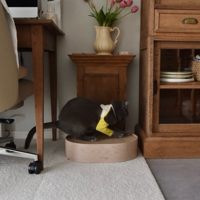 猫のためのボンモマン「bon moment cat」ついに始動!猫飼いスタッフが本気で考えたニャンコ溺愛グッズを、インスタグラマーさんもいざ体験!