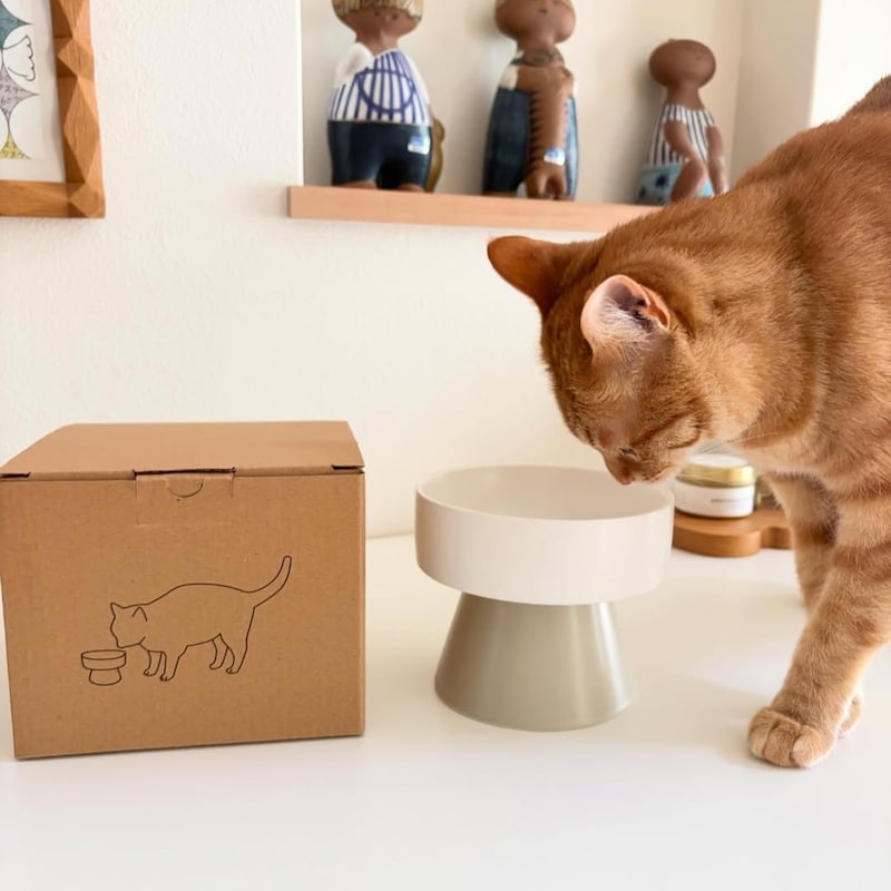 猫のためのボンモマン「bon moment cat」ついに始動!猫飼いスタッフが本気で考えたニャンコ溺愛グッズを、インスタグラマーさんもいざ体験!