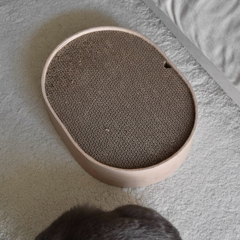 猫のためのボンモマン「bon moment cat」ついに始動!猫飼いスタッフが本気で考えたニャンコ溺愛グッズを、インスタグラマーさんもいざ体験!