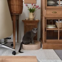 猫のためのボンモマン「bon moment cat」ついに始動！猫飼いスタッフが本気で考えたニャンコ溺愛グッズを、インスタグラマーさんもいざ体験！