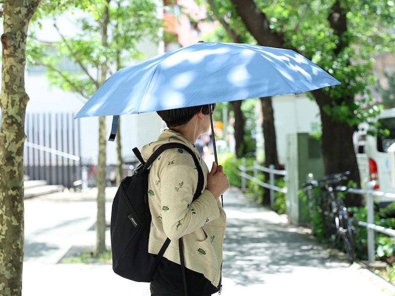 日傘の季節到来！折りたたみ派の私、今年の夏は「サマーシールド®」に決めました