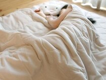 汗かき＆暑がり娘のために。リバーシブルで心地よさ2倍、綿100％のひんやり寝具
