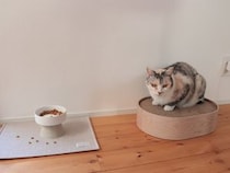猫とわたしの愛用する 、インテリアに馴染む「bon moment cat」アイテムをご紹介