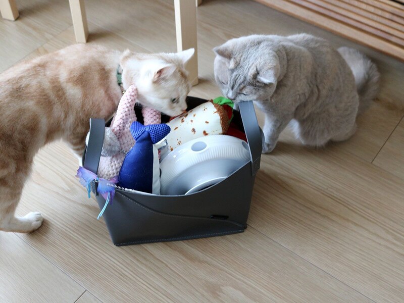 ご多忙スタッフがやっと辿り着いた「続けられるお片付け習慣」その答えは“絵になる収納トート”でした