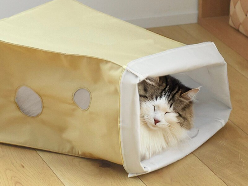 【猫グッズ人気ランキング】みんなが選んだ猫アイテムはどれ?bon moment catベスト5を発表!