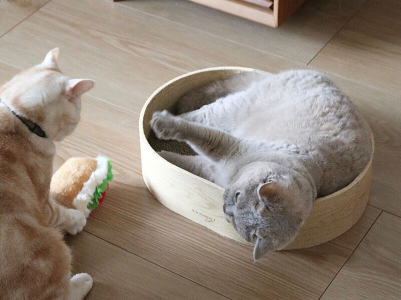 【猫グッズ人気ランキング】みんなが選んだ猫アイテムはどれ?bon moment catベスト5を発表!