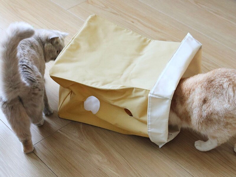 【猫グッズ人気ランキング】みんなが選んだ猫アイテムはどれ?bon moment catベスト5を発表!