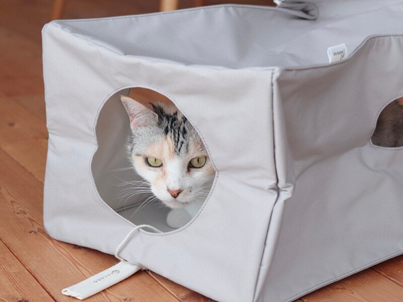 【猫グッズ人気ランキング】みんなが選んだ猫アイテムはどれ?bon moment catベスト5を発表!