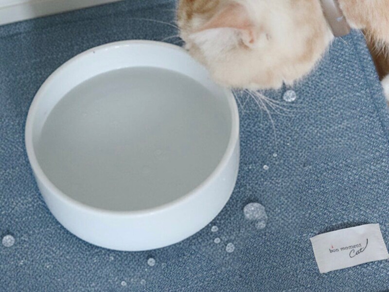 【猫グッズ人気ランキング】みんなが選んだ猫アイテムはどれ?bon moment catベスト5を発表!