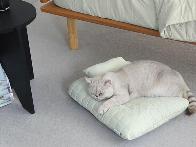 【猫グッズ人気ランキング】みんなが選んだ猫アイテムはどれ?bon moment catベスト5を発表!